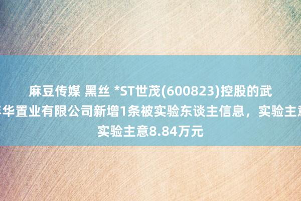 麻豆传媒 黑丝 *ST世茂(600823)控股的武汉世茂嘉年华置业有限公司新增1条被实验东谈主信息，实验主意8.84万元