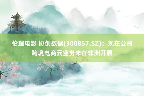 伦理电影 协创数据(300857.SZ)：现在公司跨境电商云业务未在非洲开展