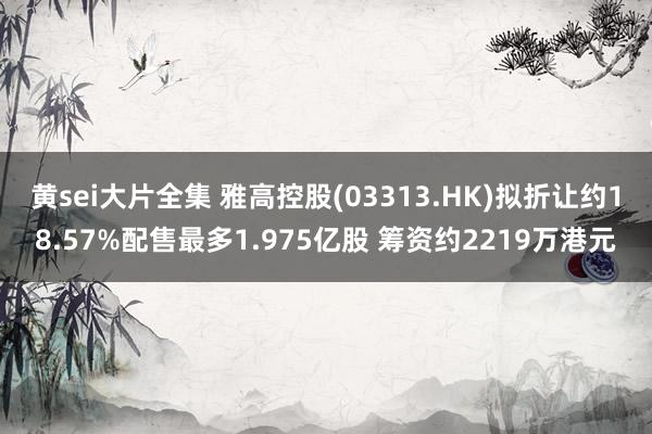 黄sei大片全集 雅高控股(03313.HK)拟折让约18.57%配售最多1.975亿股 筹资约2219万港元