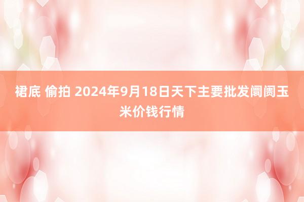 裙底 偷拍 2024年9月18日天下主要批发阛阓玉米价钱行情