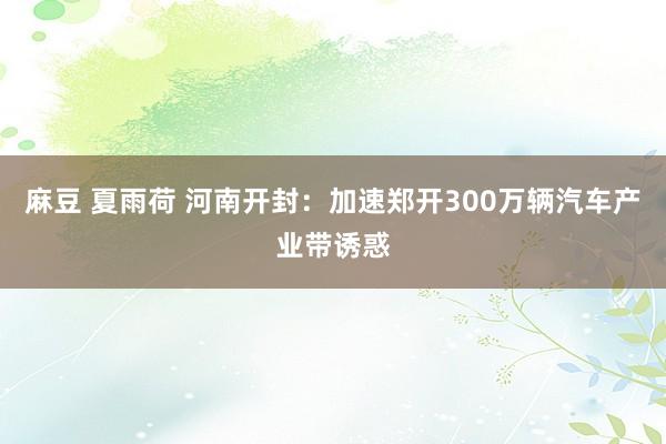 麻豆 夏雨荷 河南开封：加速郑开300万辆汽车产业带诱惑