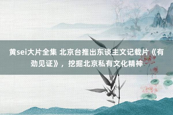 黄sei大片全集 北京台推出东谈主文记载片《有劲见证》，挖掘北京私有文化精神