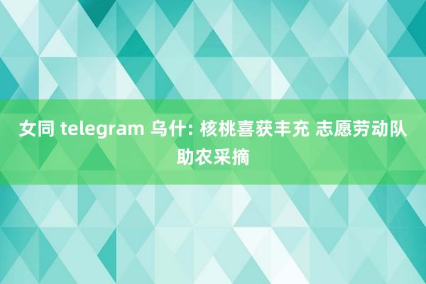 女同 telegram 乌什: 核桃喜获丰充 志愿劳动队助农采摘