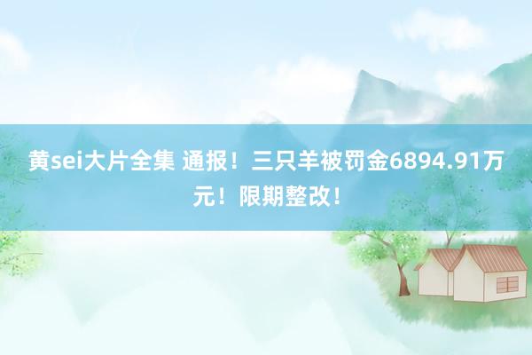 黄sei大片全集 通报！三只羊被罚金6894.91万元！限期整改！