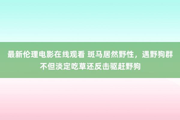 最新伦理电影在线观看 斑马居然野性，遇野狗群不但淡定吃草还反击驱赶野狗