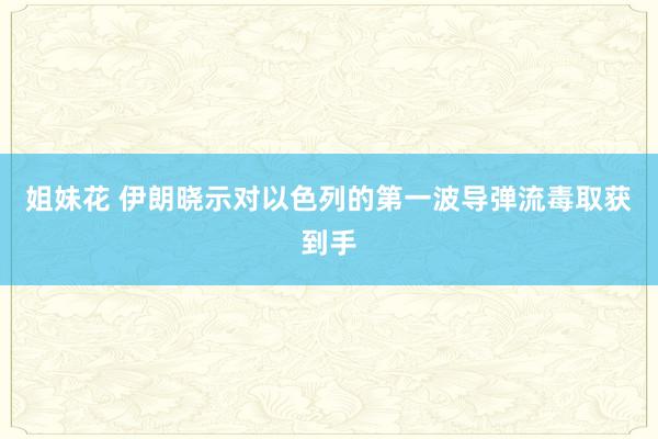 姐妹花 伊朗晓示对以色列的第一波导弹流毒取获到手