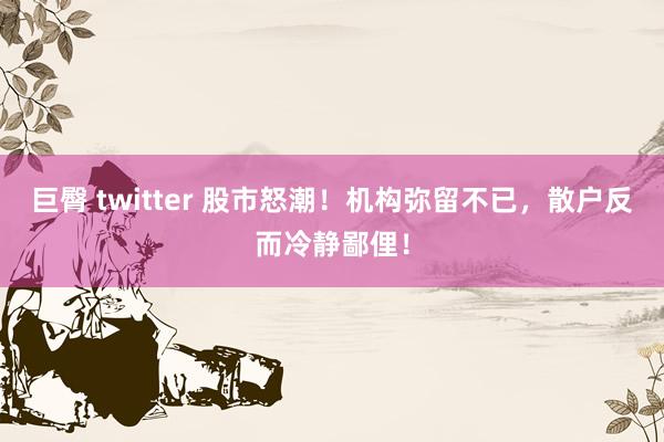 巨臀 twitter 股市怒潮！机构弥留不已，散户反而冷静鄙俚！