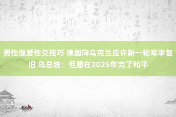 男性做爱性交技巧 德国向乌克兰应许新一轮军事复旧 乌总统：但愿在2025年完了和平