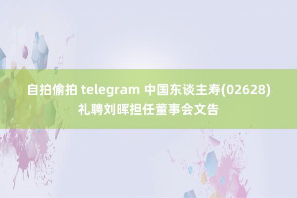 自拍偷拍 telegram 中国东谈主寿(02628)礼聘刘晖担任董事会文告