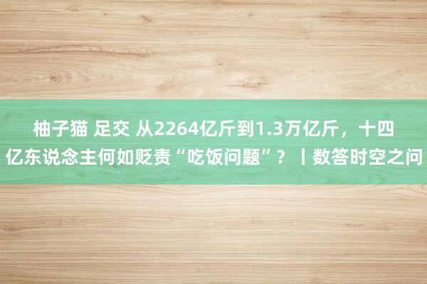 柚子猫 足交 从2264亿斤到1.3万亿斤，十四亿东说念主何如贬责“吃饭问题”？丨数答时空之问