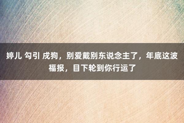 婷儿 勾引 戌狗，别爱戴别东说念主了，年底这波福报，目下轮到你行运了