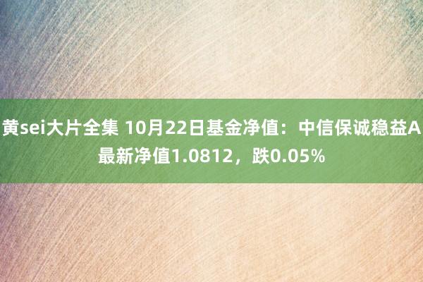 黄sei大片全集 10月22日基金净值：中信保诚稳益A最新净值1.0812，跌0.05%