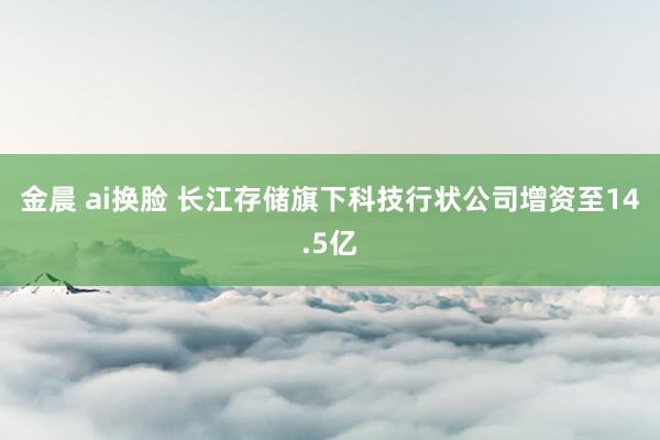 金晨 ai换脸 长江存储旗下科技行状公司增资至14.5亿