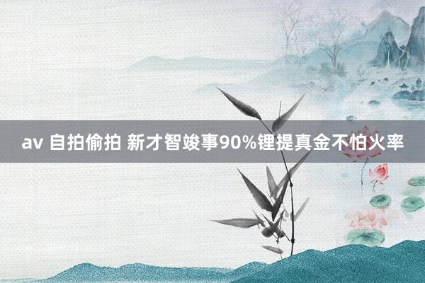 av 自拍偷拍 新才智竣事90%锂提真金不怕火率