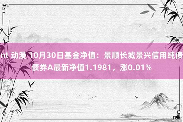 nt 动漫 10月30日基金净值：景顺长城景兴信用纯债债券A最新净值1.1981，涨0.01%