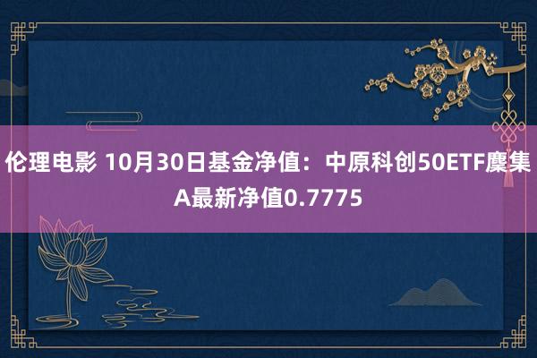 伦理电影 10月30日基金净值：中原科创50ETF麇集A最新净值0.7775