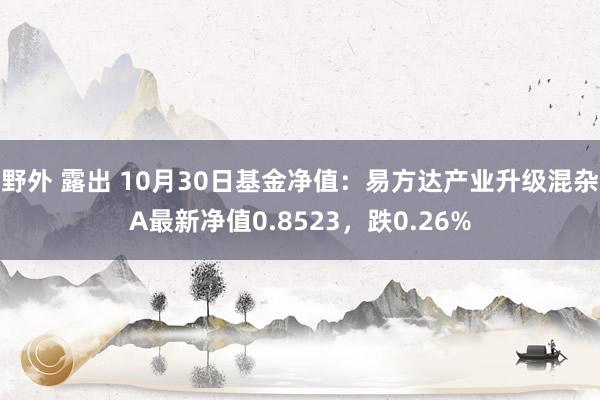 野外 露出 10月30日基金净值：易方达产业升级混杂A最新净值0.8523，跌0.26%