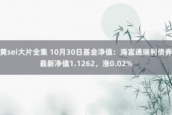 黄sei大片全集 10月30日基金净值：海富通瑞利债券最新净值1.1262，涨0.02%