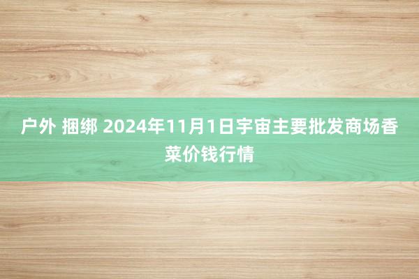 户外 捆绑 2024年11月1日宇宙主要批发商场香菜价钱行情