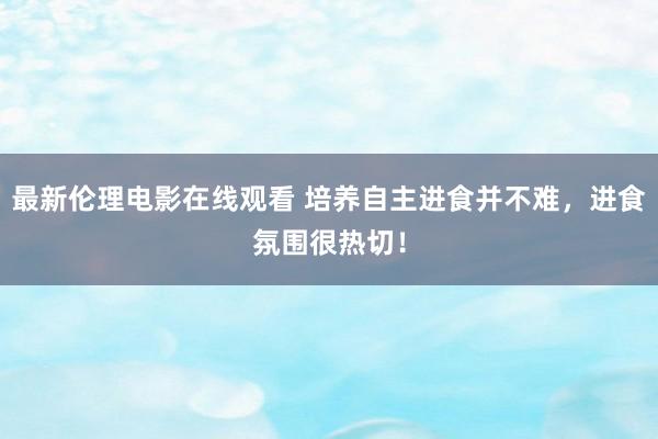 最新伦理电影在线观看 培养自主进食并不难，进食氛围很热切！