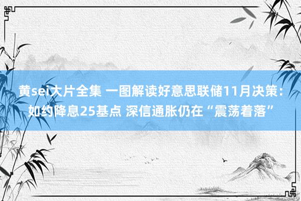 黄sei大片全集 一图解读好意思联储11月决策：如约降息25基点 深信通胀仍在“震荡着落”