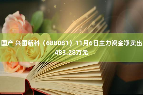 国产 兴图新科（688081）11月6日主力资金净卖出483.28万元