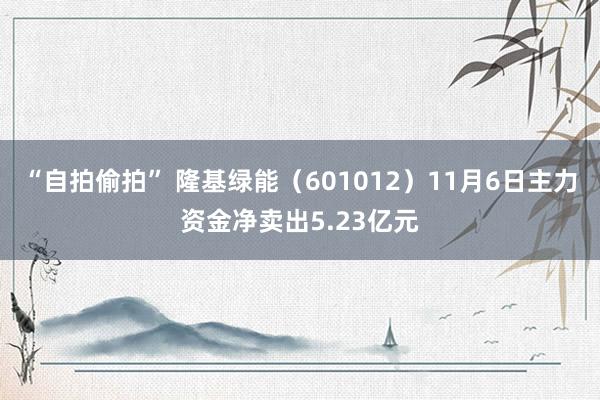 “自拍偷拍” 隆基绿能（601012）11月6日主力资金净卖出5.23亿元