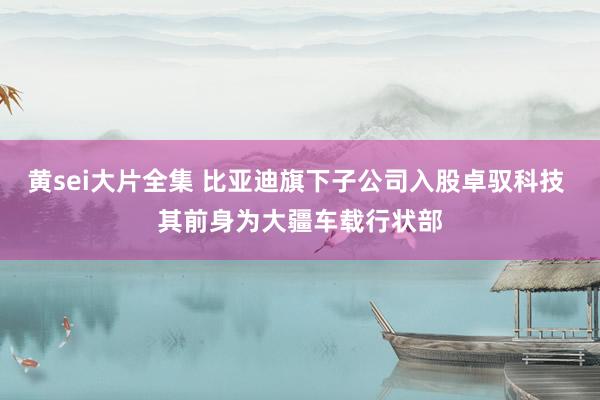 黄sei大片全集 比亚迪旗下子公司入股卓驭科技 其前身为大疆车载行状部