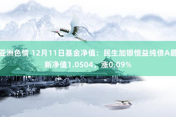 亚洲色情 12月11日基金净值：民生加银恒益纯债A最新净值1.0504，涨0.09%