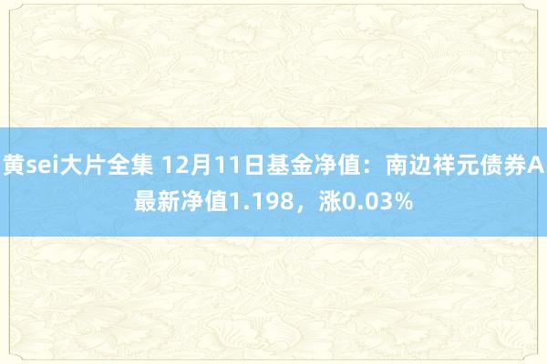 黄sei大片全集 12月11日基金净值：南边祥元债券A最新净值1.198，涨0.03%