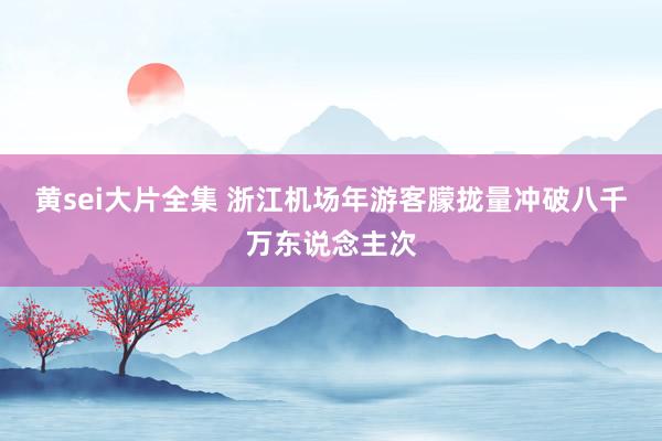 黄sei大片全集 浙江机场年游客朦拢量冲破八千万东说念主次