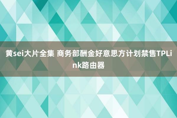 黄sei大片全集 商务部酬金好意思方计划禁售TPLink路由器