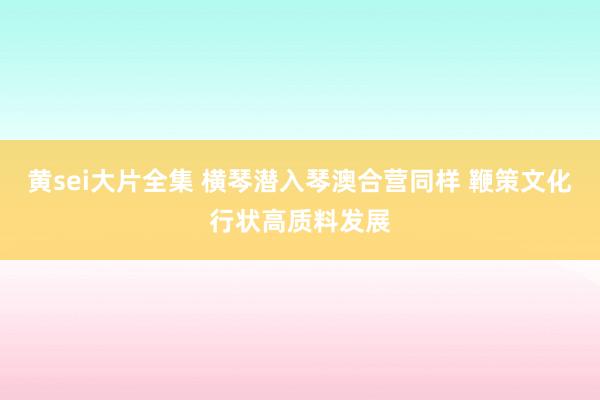 黄sei大片全集 横琴潜入琴澳合营同样 鞭策文化行状高质料发展