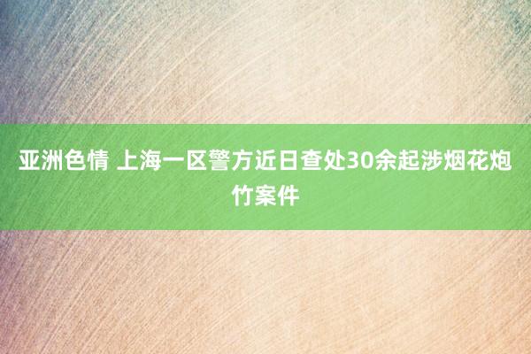 亚洲色情 上海一区警方近日查处30余起涉烟花炮竹案件