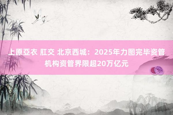 上原亞衣 肛交 北京西城：2025年力图完毕资管机构资管界限超20万亿元