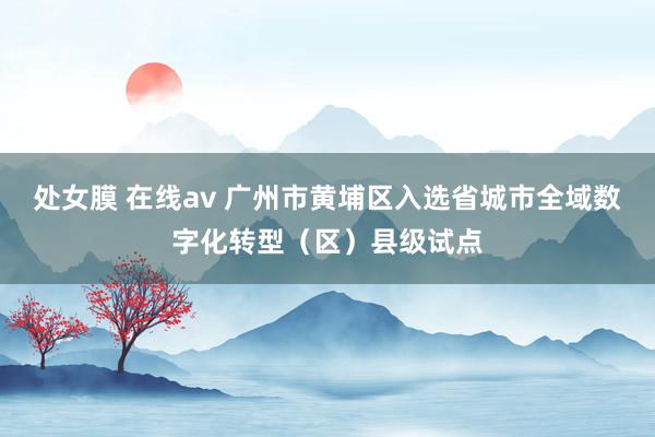 处女膜 在线av 广州市黄埔区入选省城市全域数字化转型（区）县级试点