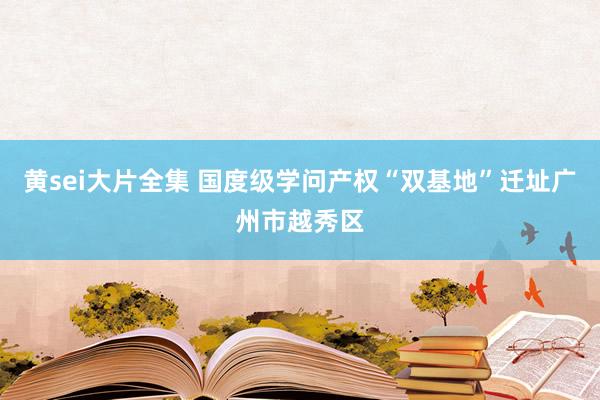 黄sei大片全集 国度级学问产权“双基地”迁址广州市越秀区