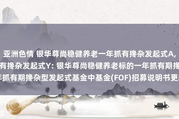 亚洲色情 银华尊尚稳健养老一年抓有搀杂发起式A，银华尊尚稳健养老一年抓有搀杂发起式Y: 银华尊尚稳健养老标的一年抓有期搀杂型发起式基金中基金(FOF)招募说明书更新(2025年第1号)