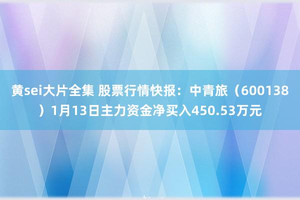 黄sei大片全集 股票行情快报：中青旅（600138）1月13日主力资金净买入450.53万元