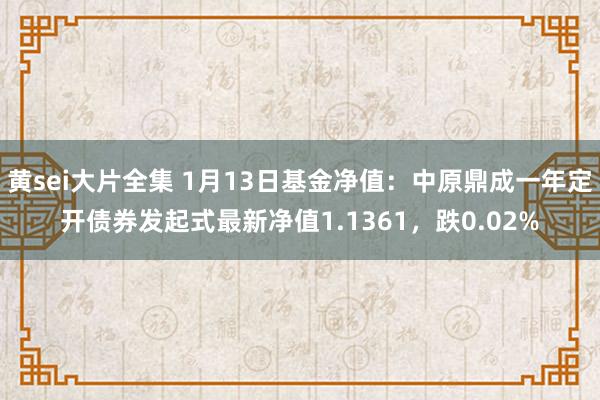 黄sei大片全集 1月13日基金净值：中原鼎成一年定开债券发起式最新净值1.1361，跌0.02%