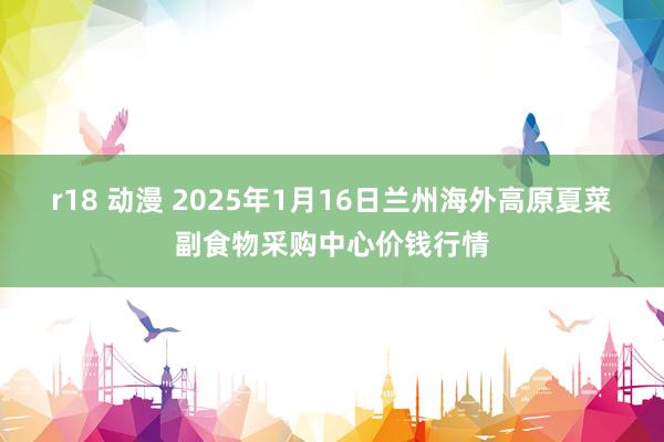 r18 动漫 2025年1月16日兰州海外高原夏菜副食物采购中心价钱行情