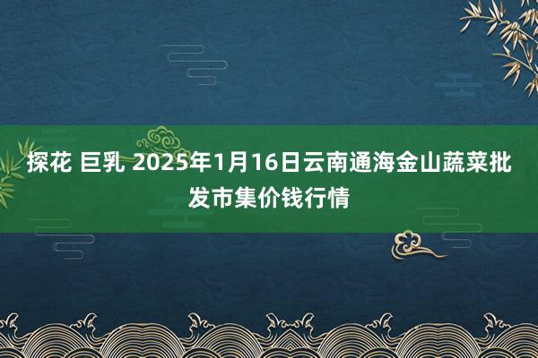 探花 巨乳 2025年1月16日云南通海金山蔬菜批发市集价钱行情