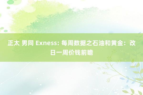 正太 男同 Exness: 每周数据之石油和黄金：改日一周价钱前瞻